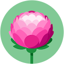 Josie Edwards profile picture