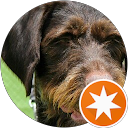 Du De profile picture